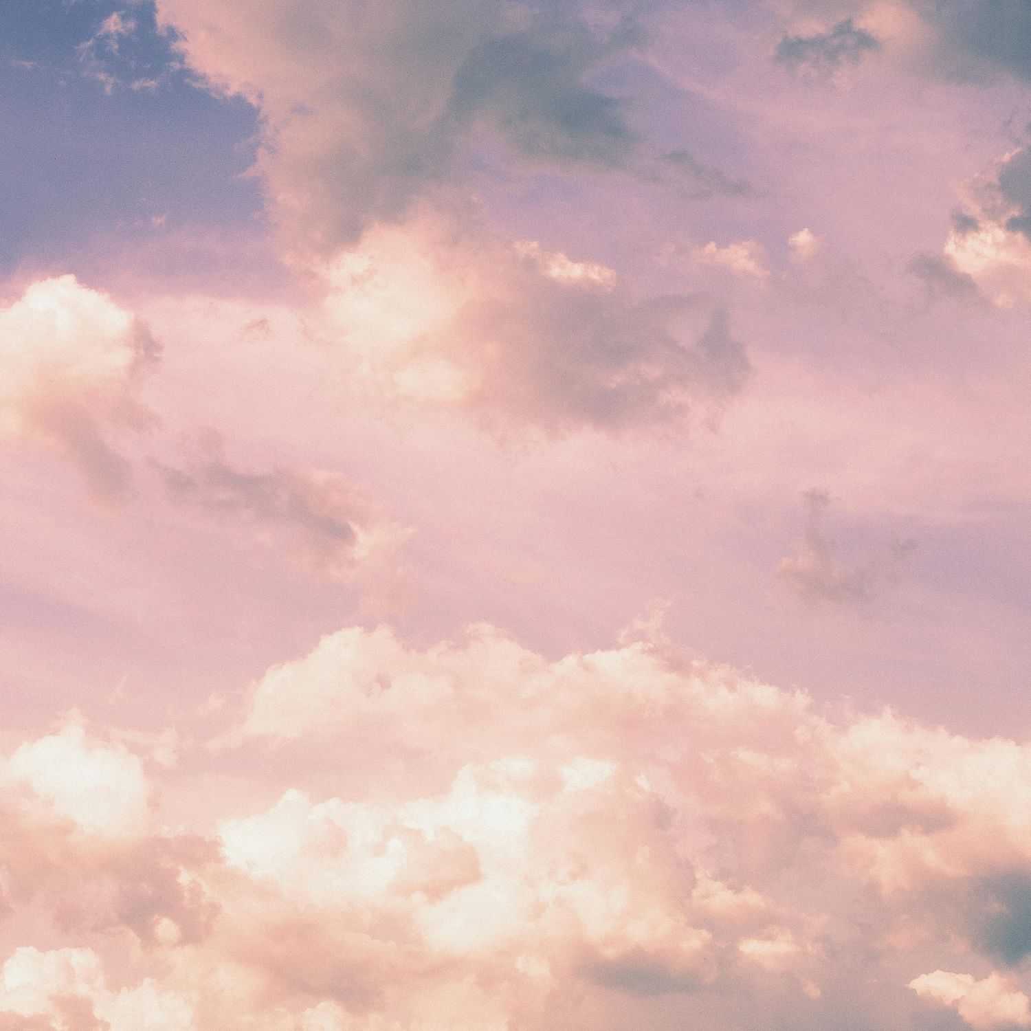 Portrait of Lacey, a professional stylist at Moda Organic Salon And Spa, showcasing their expertise and style.