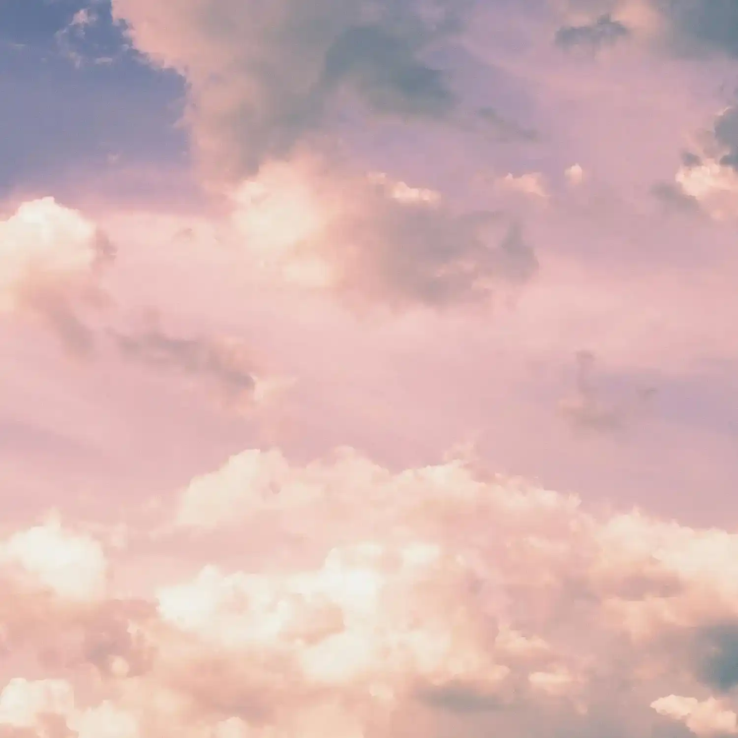 Portrait of Rachel, a professional stylist at Moda Organic Salon And Spa, showcasing their expertise and style.