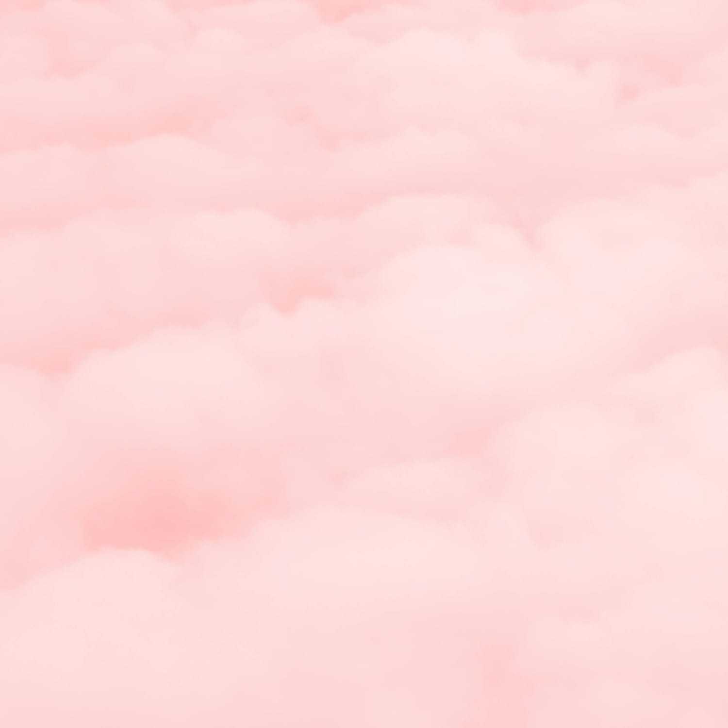 Portrait of Ari, a professional stylist at Moda Organic Salon And Spa, showcasing their expertise and style.